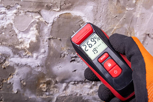Attic Mold Removal in Little Round Lake, WI