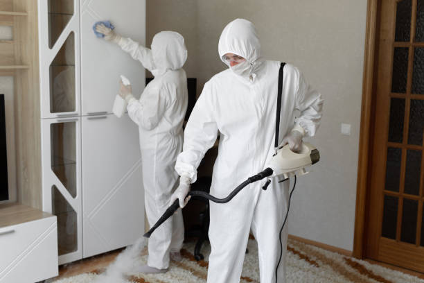 Mold Testing and Removal in Little Round Lake, WI