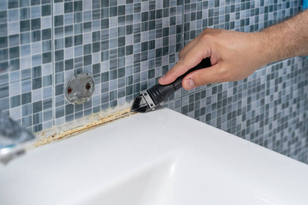 Best Mold Testing  in Little Round Lake, WI