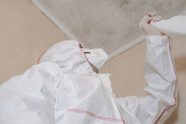 Water Damage Restoration in Little Round Lake, WI